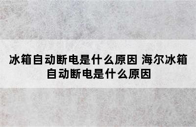 冰箱自动断电是什么原因 海尔冰箱自动断电是什么原因